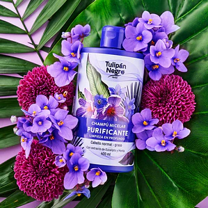 Shampoo Micelar - Purificante