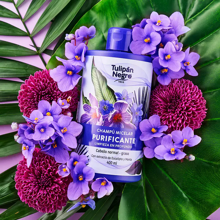 Shampoo Micelar - Purificante 1