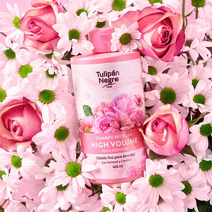 Shampoo Micelar - Alto Volume