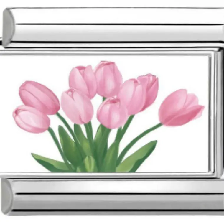 CHARM SILVER 1