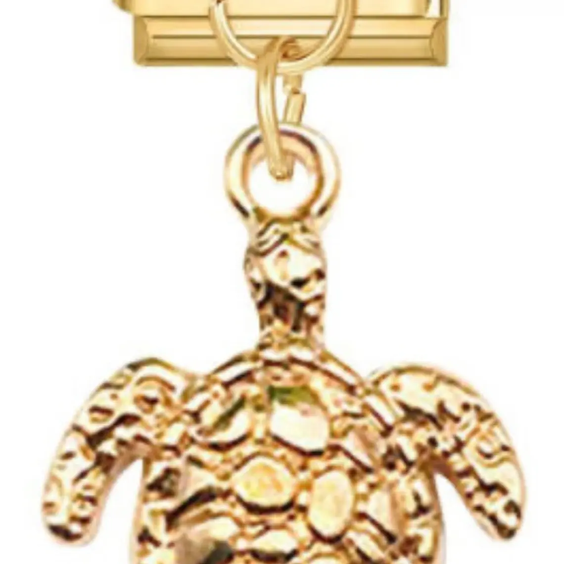 CHARM GOLD 1
