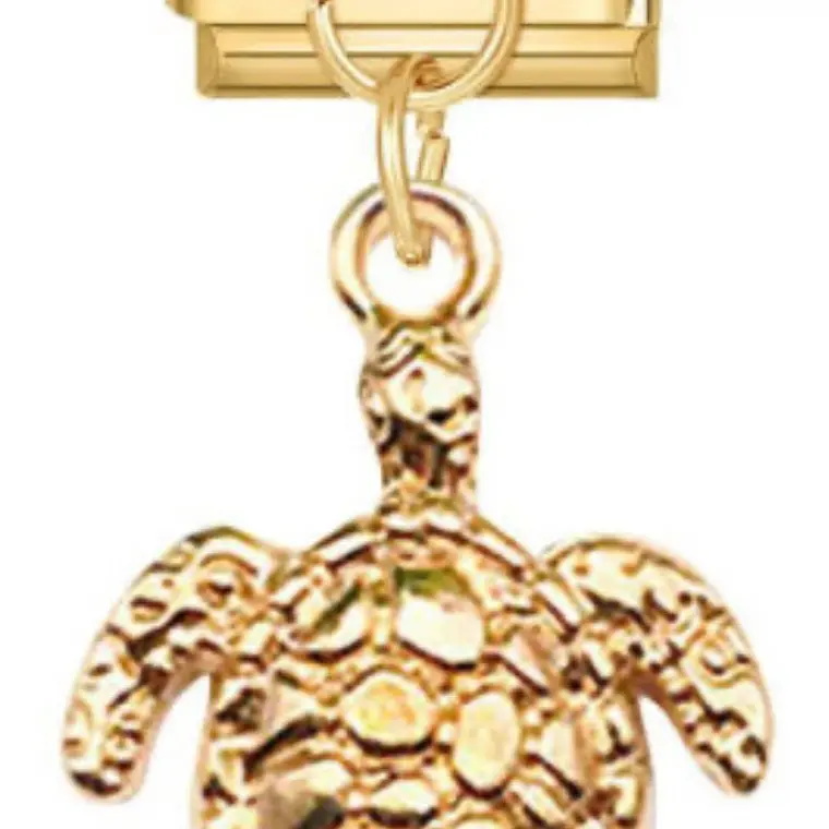 CHARM GOLD 1