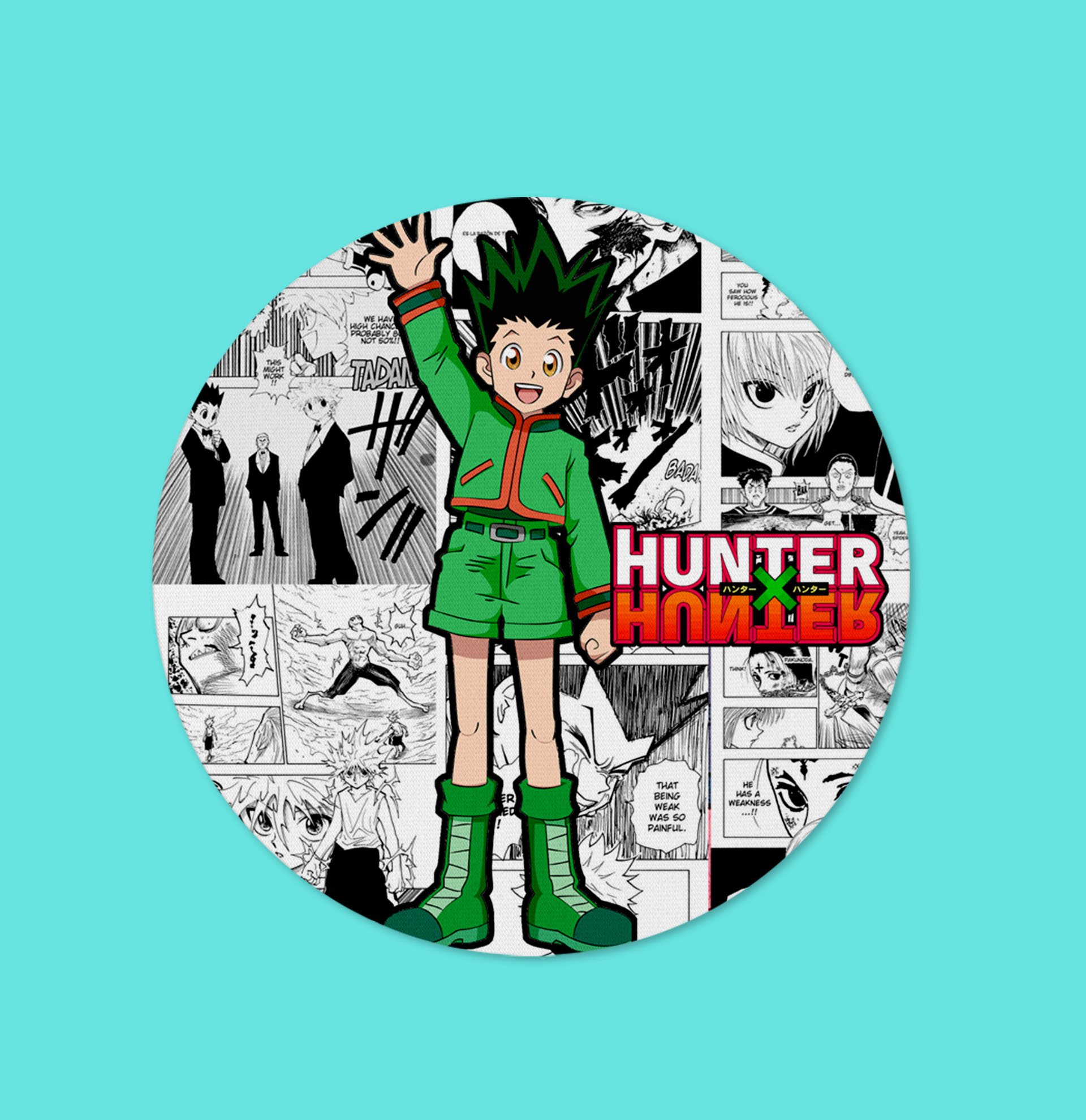 Posavaso Hunter X Hunter (Gon 1)