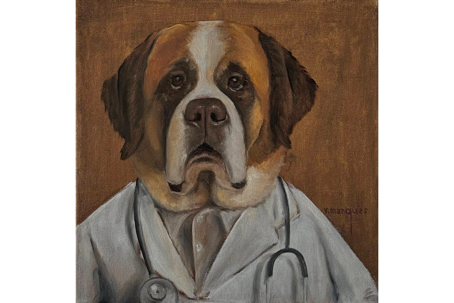 Dr. Bernard von Wattenwyl-Schwarzenburg (São-bernardo / Saint Bernard)