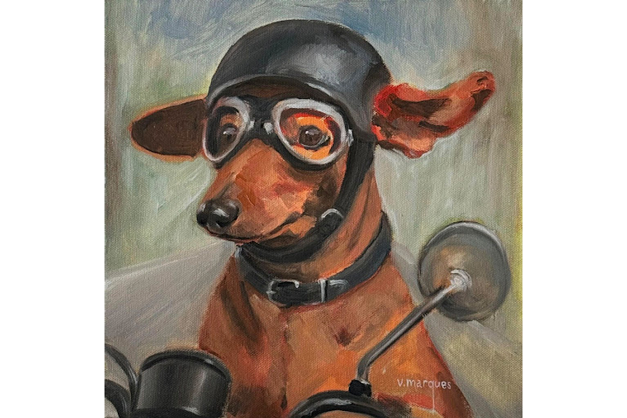 Bia (Teckel / Salsicha / Dachshund)