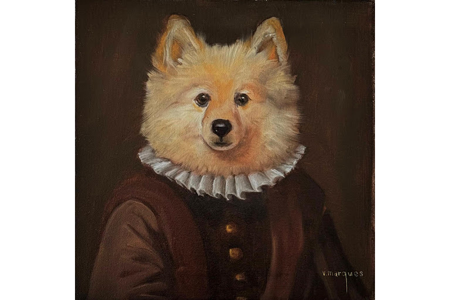 Arturito de Sotomayor (Lulu da Pomerânia / Pomeranian)