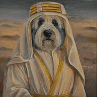 Xeque Hamad Al-Maktoum / Sheikh Hamad Al-Maktoum (Old English Sheepdog / Bobtail)