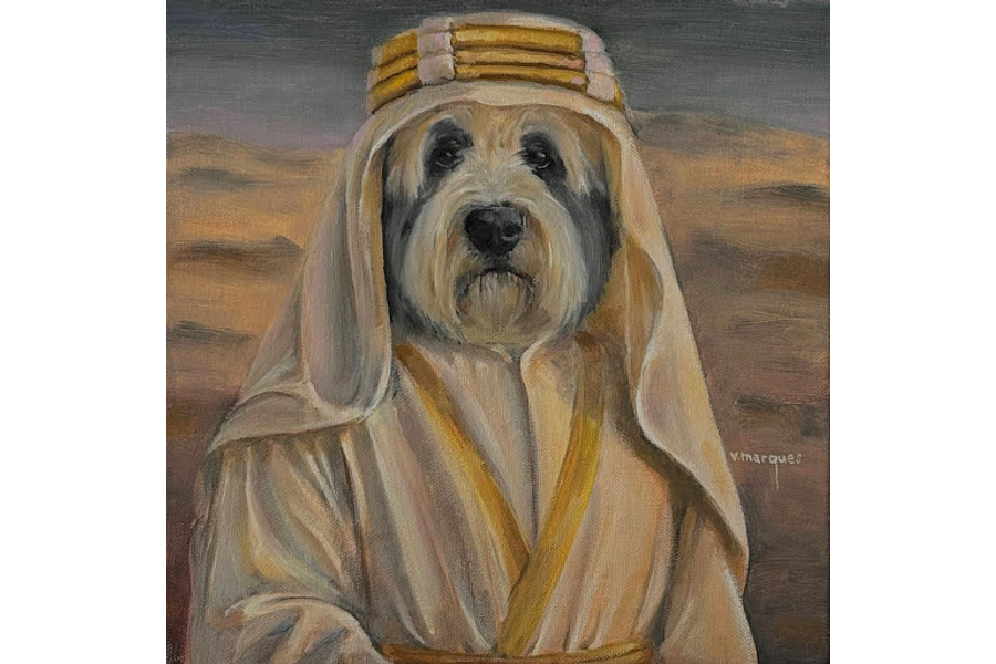 Xeque Hamad Al-Maktoum / Sheikh Hamad Al-Maktoum (Old English Sheepdog / Bobtail)