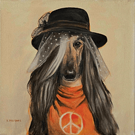 Penélope / Penelope (Galga Afegã / Afghan Hound)