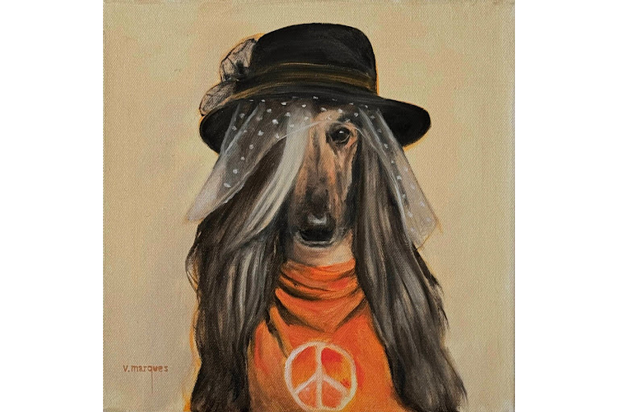 Penélope / Penelope (Galga Afegã / Afghan Hound)