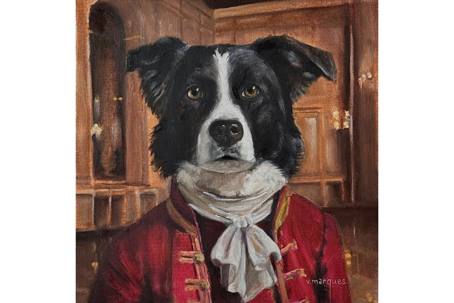 Johann Kappel (Border Collie)