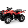 TRX250 TM