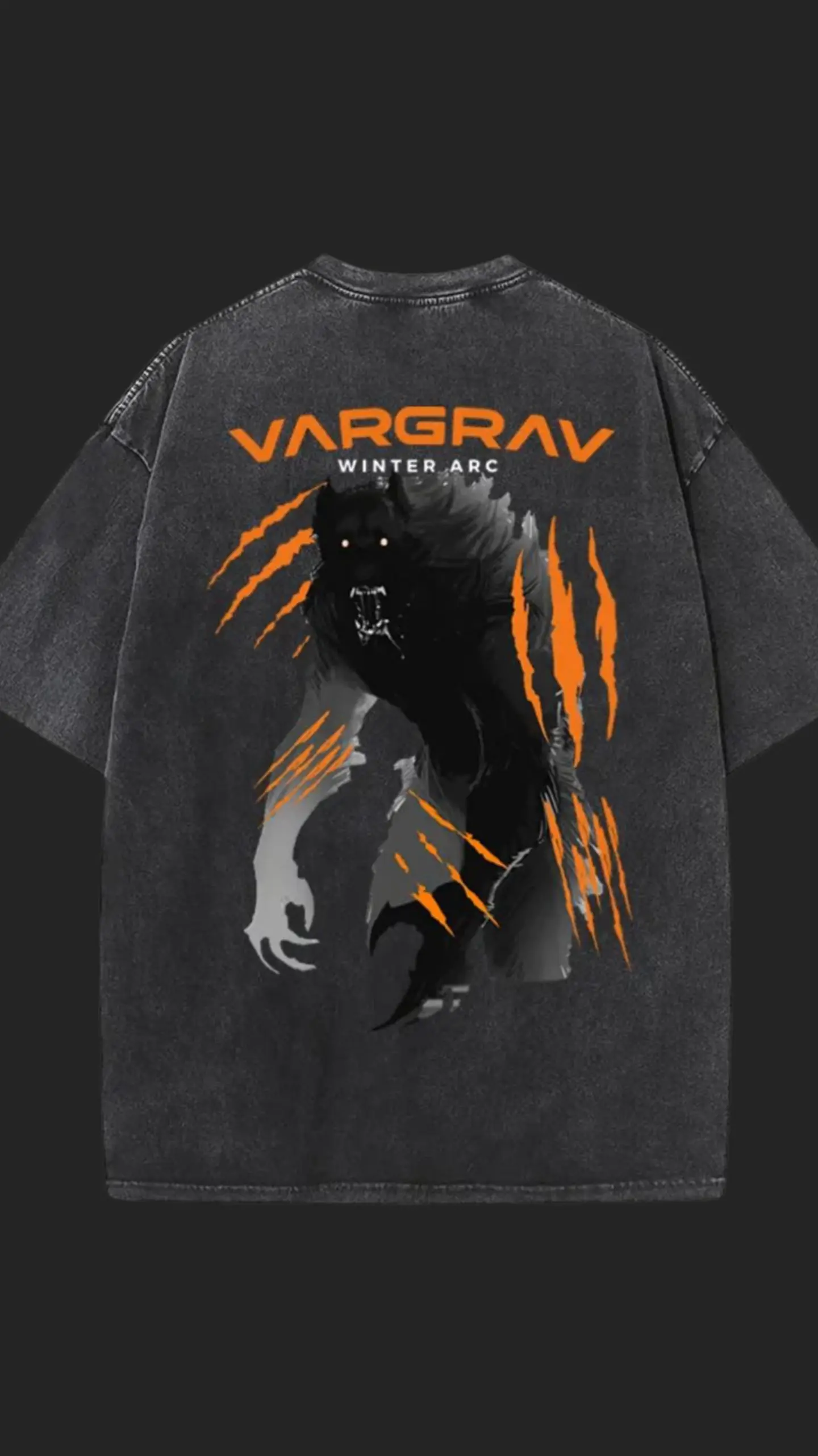 WINTER ARC OVERSIZED T-SHIRT 2
