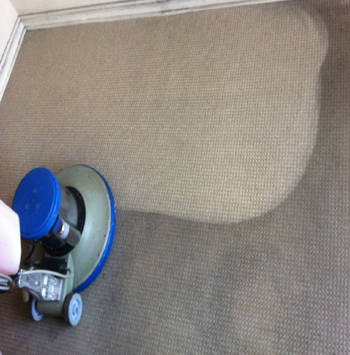 Detergente Alfombras Por Inyección Y Extracción. Aquagen Sx 5