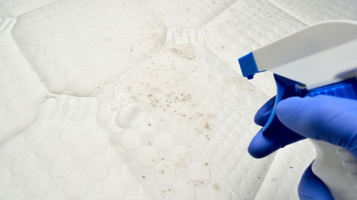 Espuma Seca Limpieza De Alfombras Y Telas 5 Litros Aquagen Tmc 3