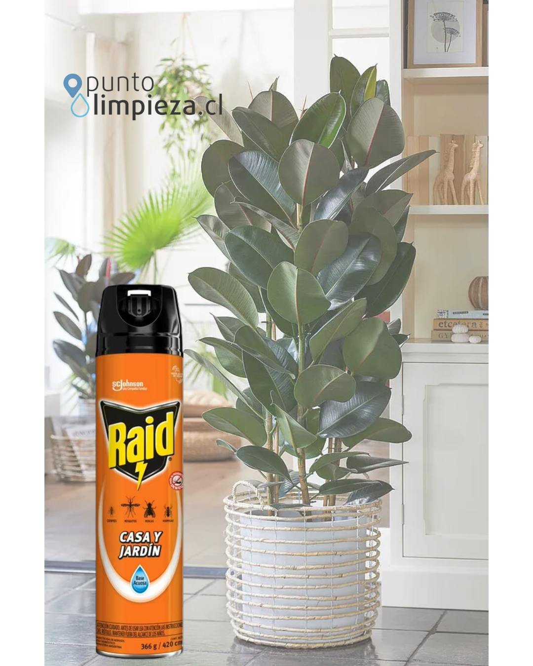 Insecticida Casa Y Jardín 360 Cc - RAID 2