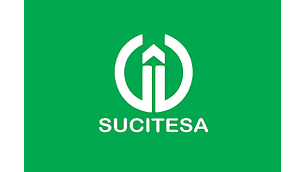 ENRIQUE OSSES Y CIA LTDA