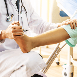  Cuidadores y asistentes