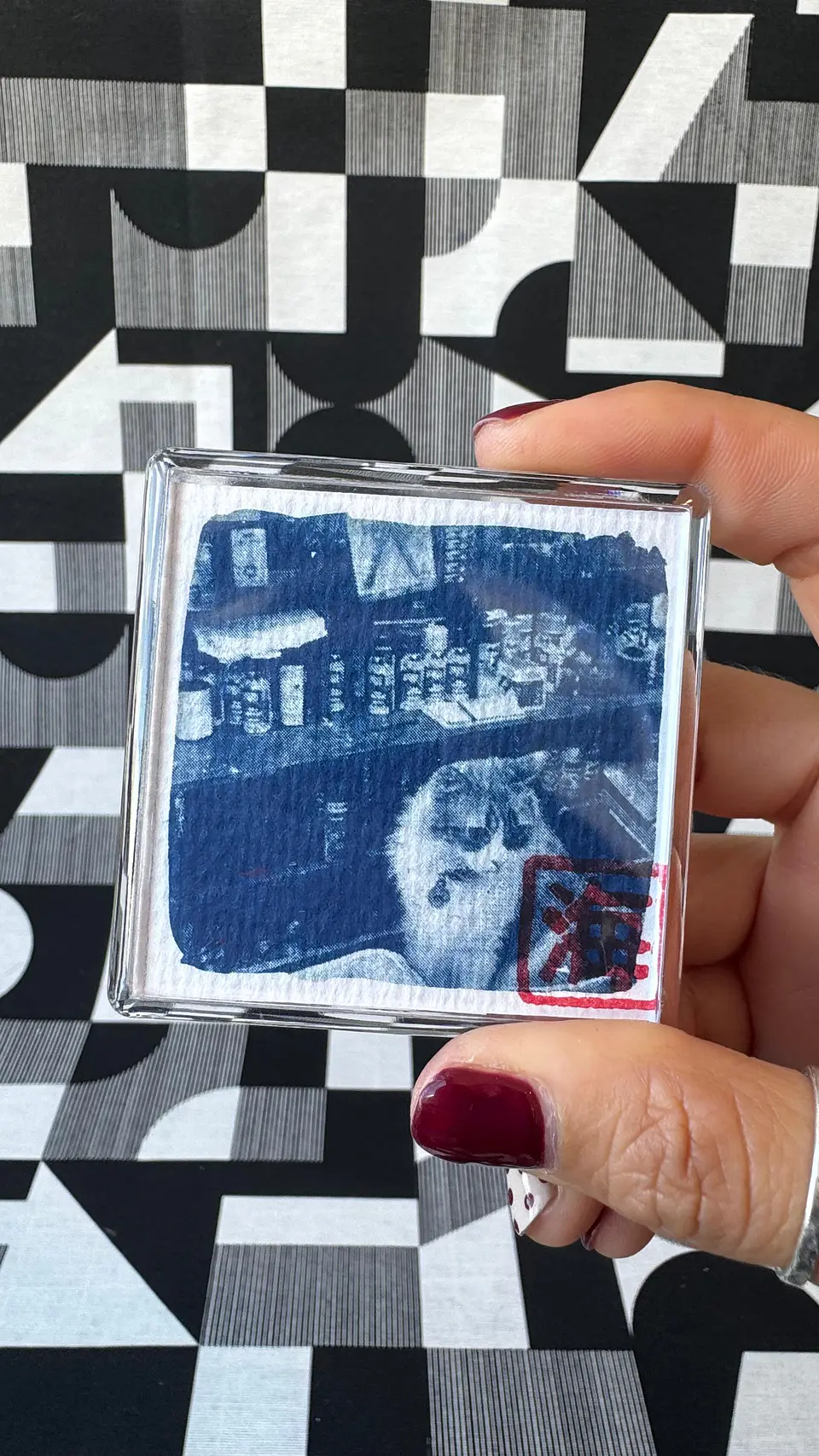 Imán gatito vendedor de Ferretería Francia  1