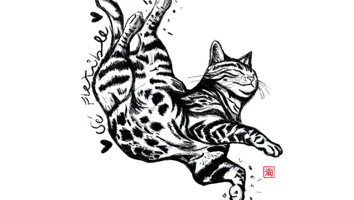 Ilustraciones a pedido.