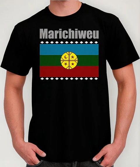 Polera Bandera Mapuche - Ver 02 - Vale Gamess