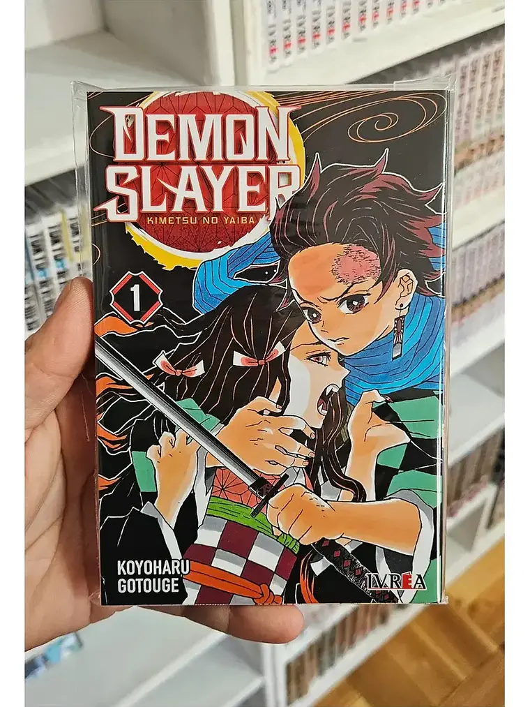 Manga, Demon Slayer: Kimetsu No Yaiba Vol. 1 / Ivrea 2