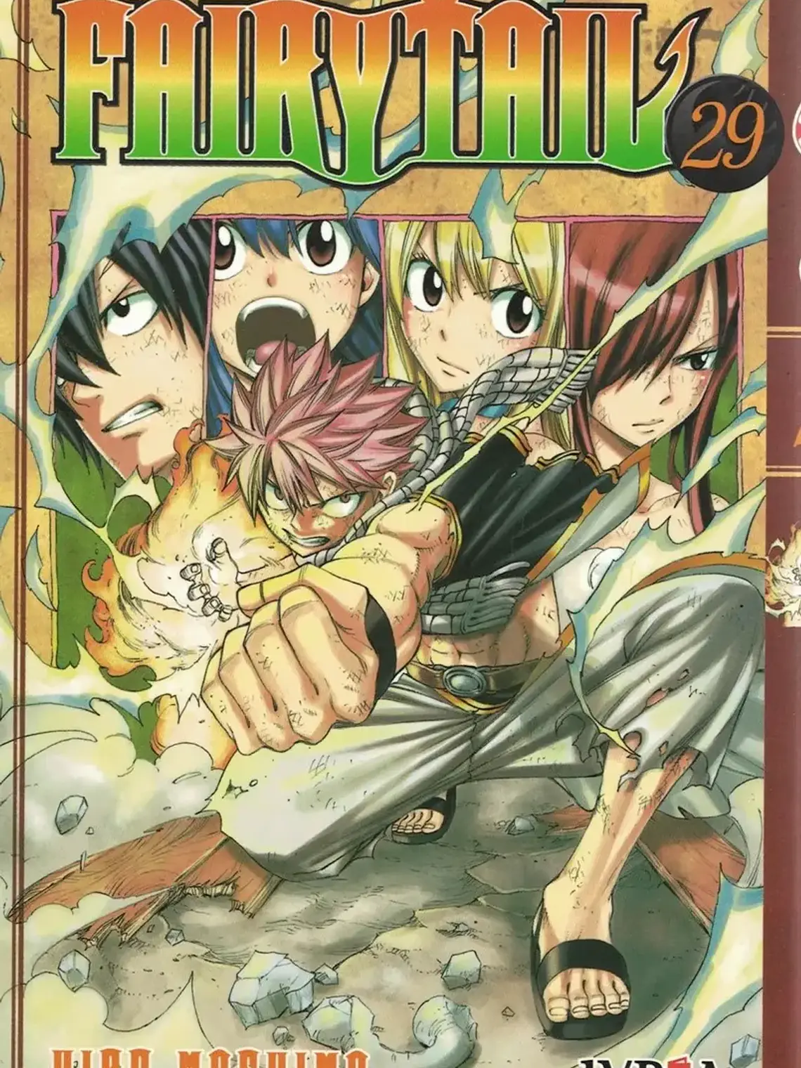 Fairy Tail Vol 29 1
