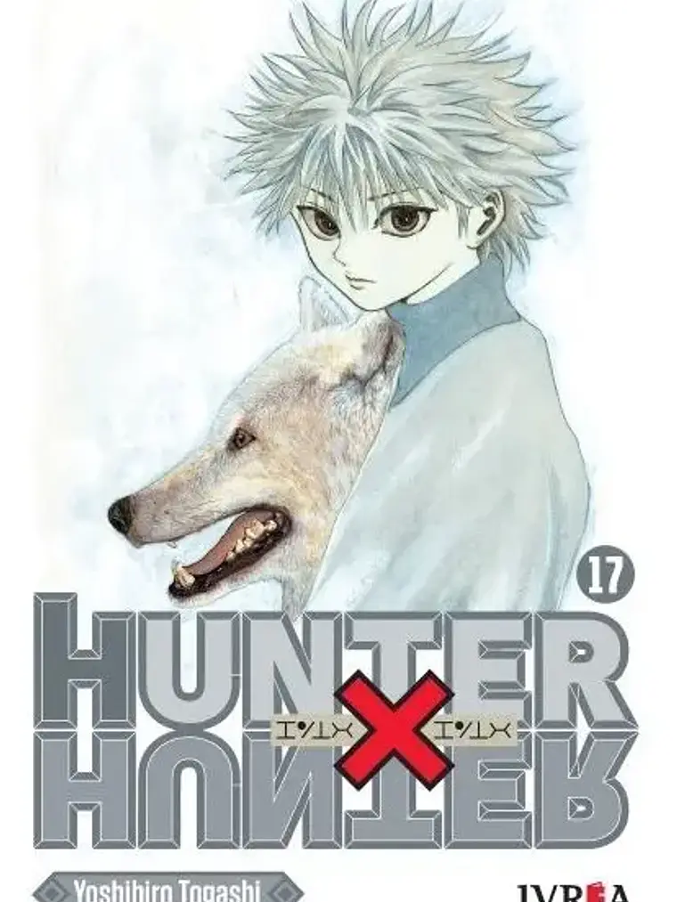 Manga Hunter X Hunter Tomo #17 Ivrea Argentina 1