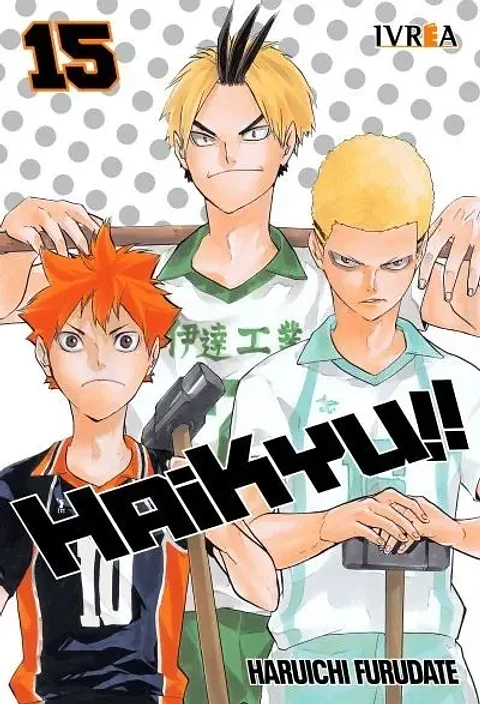 Haikyuu!! #15 - Ivréa Arg