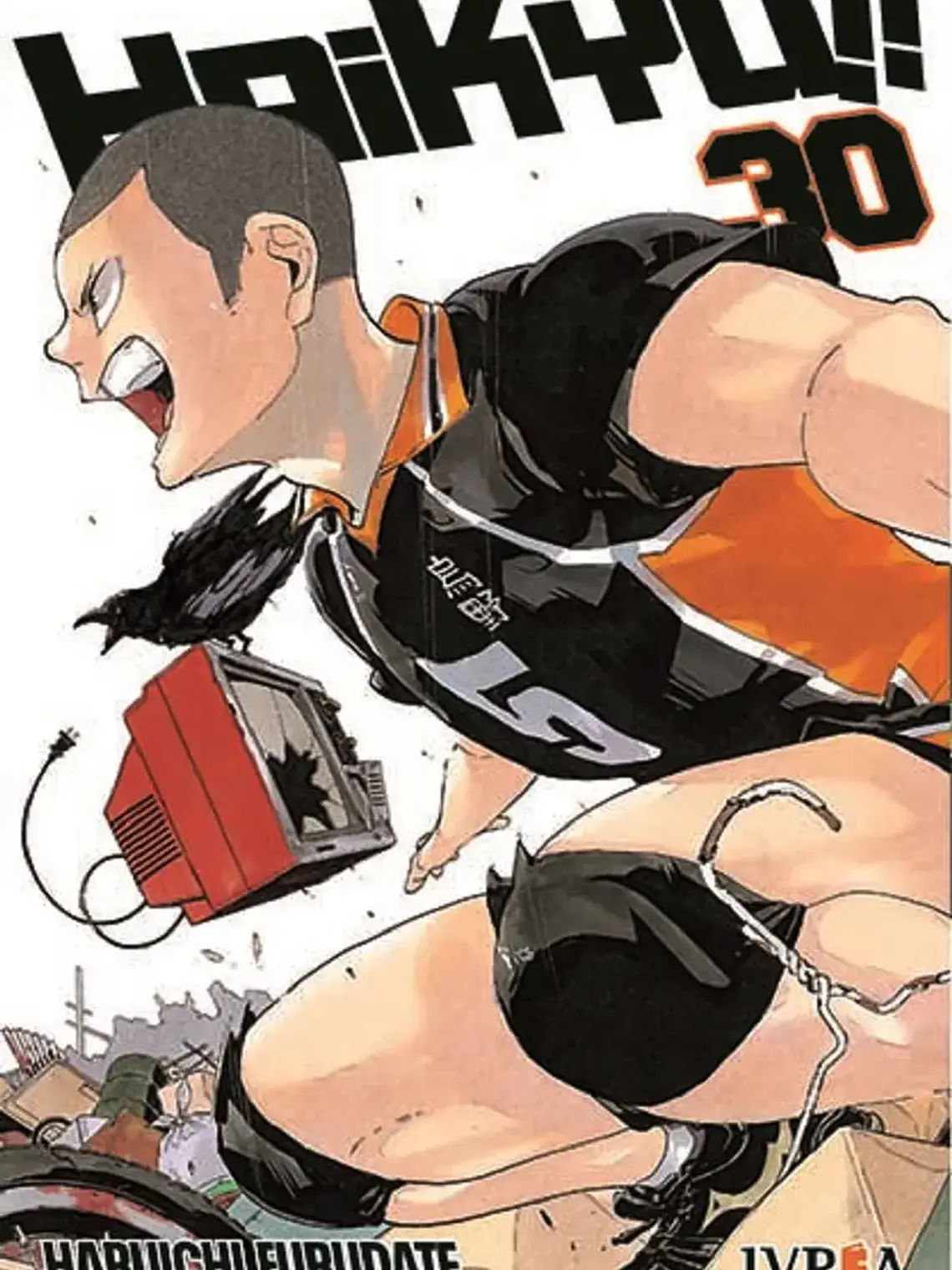 Haikyuu!! 30. Editorial Ivrea Agentina, De Haruichi Furudate 1