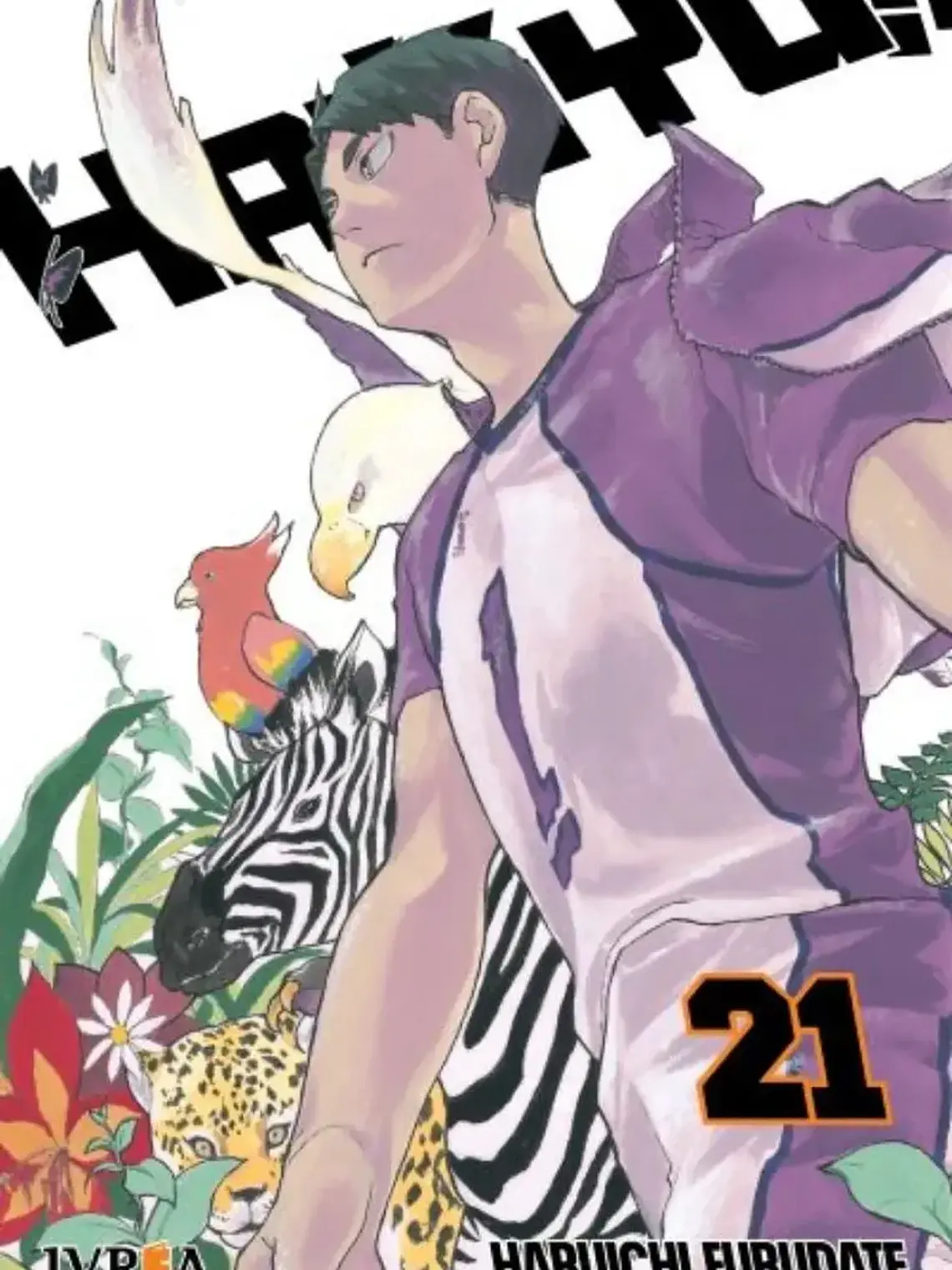 Manga Haikyu Vol 21 Ivrea 1