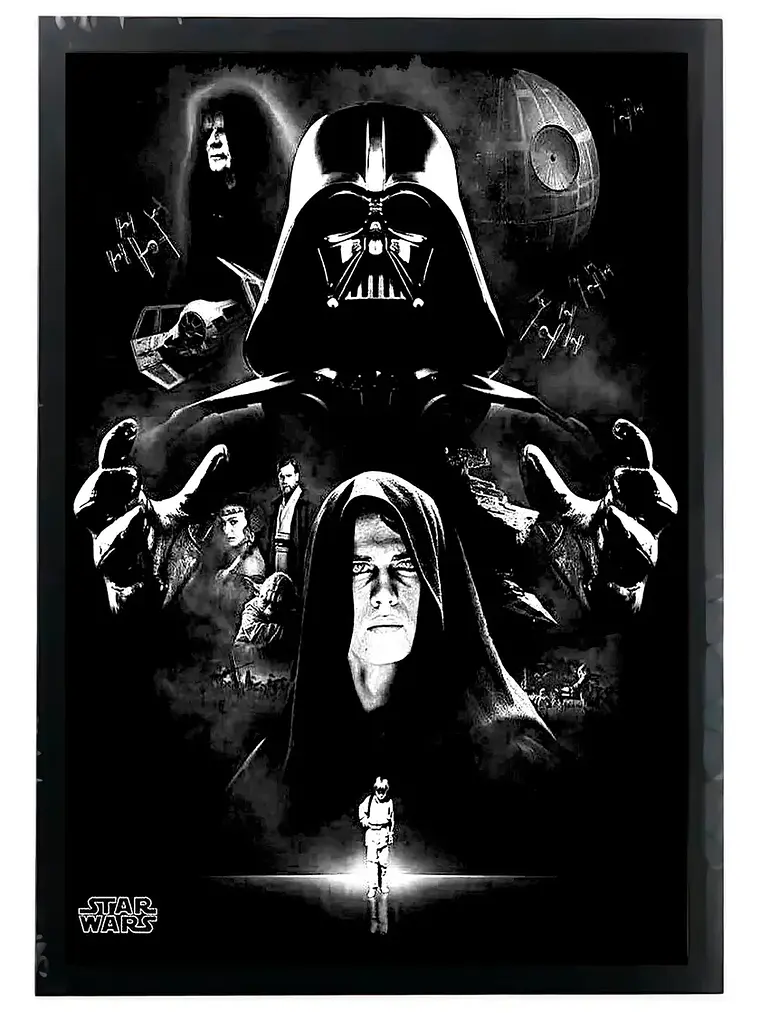 Cuadro Madera/vidrio 33x48 Star Wars - Ver 22 1