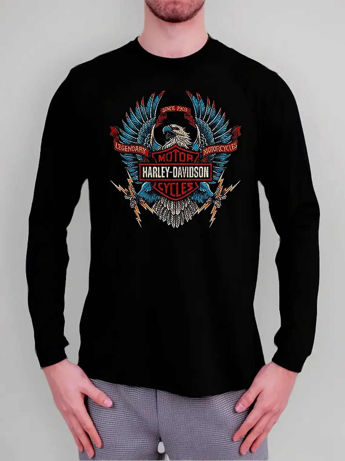 Polera Manga Larga Harley Davidson - Ver 08 - Vale Gamess 1