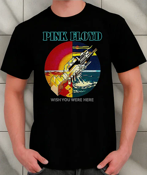 Polera Pink Floyd - Ver 15 - Wish You Were Here