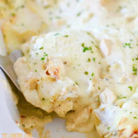 Lasaña Alfredo 