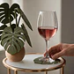 Set de Posavasos Decorativos Planta Monstera - Miniatura 1