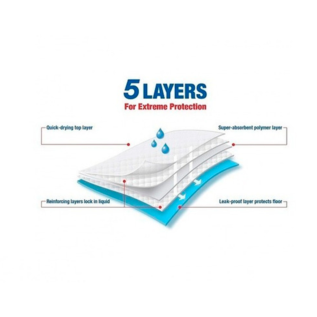 Sabanillas para perros Wee Wee 100 unidades 57 x 58 cm 3