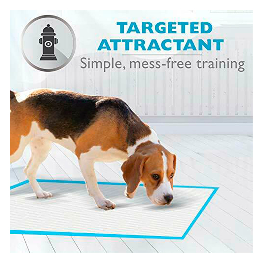 Sabanillas para perros Wee Wee 100 unidades 57 x 58 cm 6