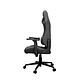 Silla Profesional Cougar Explore Royal Gray F apoyabrazos con hiperrotación 3D - Miniatura 3
