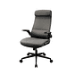 Silla Profesional Cougar STRYDER GRAY - Miniatura 5