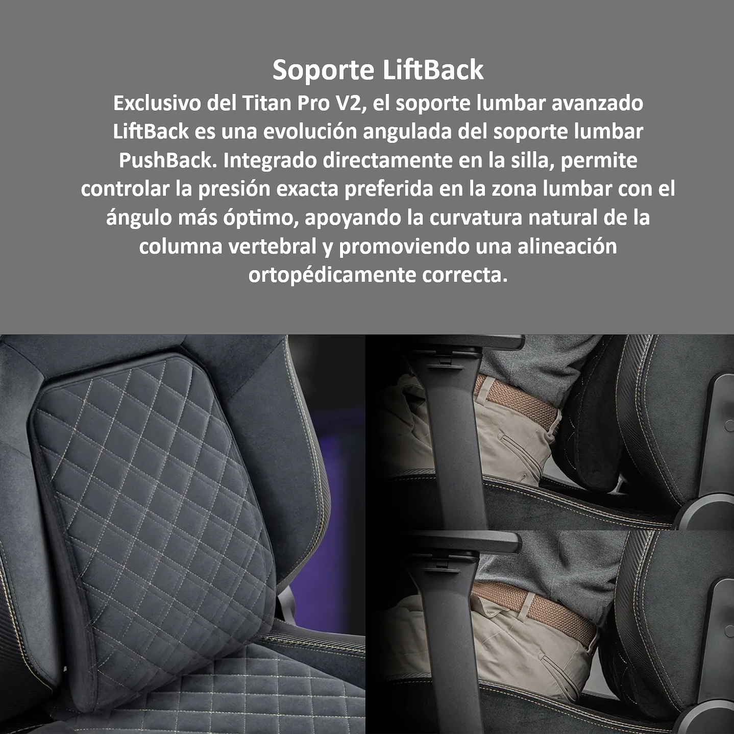 Silla Gamer Ergonomica Cougar Titan Pro V2 Gold F 7