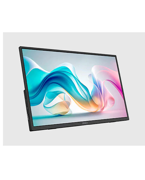 Monitor MSI Portable 15.6” IPS FHD 60 Hz 4ms PRO MP165 E6