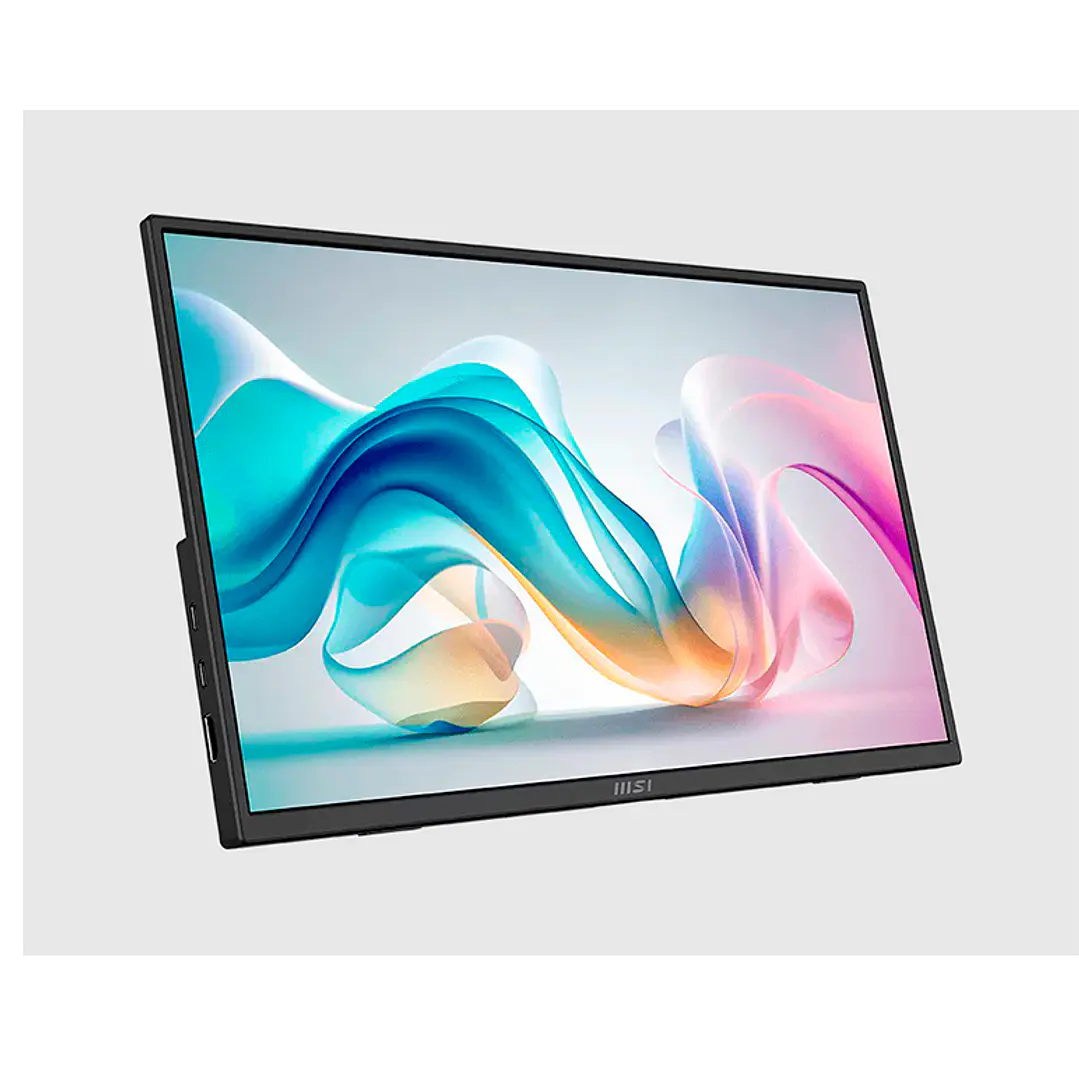 Monitor MSI Portable 15.6” IPS FHD 60 Hz 4ms PRO MP165 E6 2