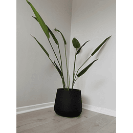 Planta Artificial incluye maceta color negro