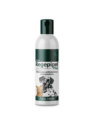 Regepipel Plus