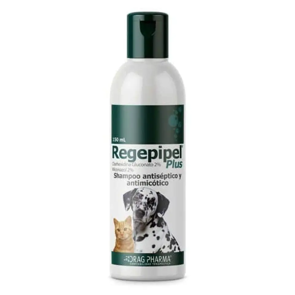 Regepipel Plus - Shampoo Dermatológico 1