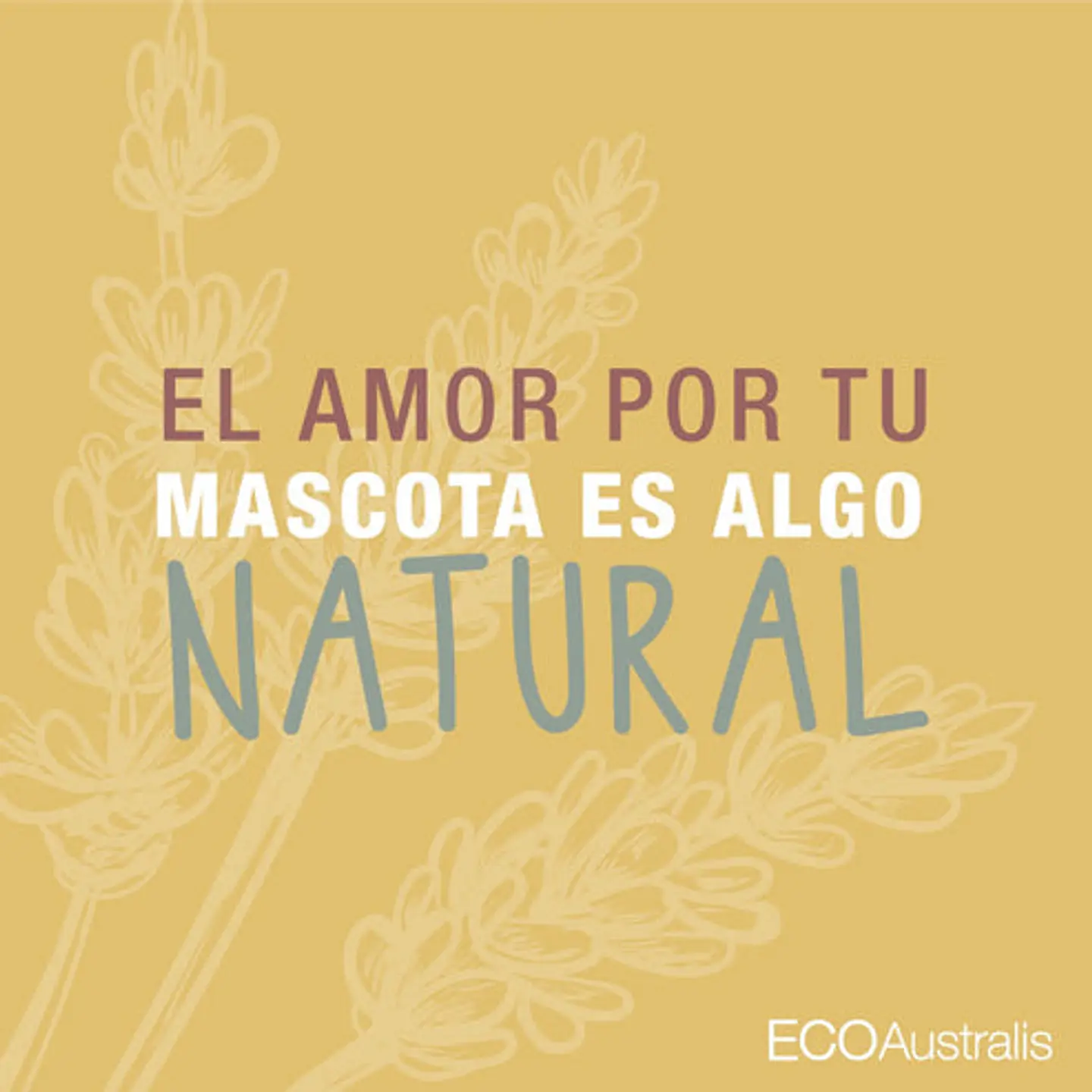 Shampoo Hipoalergénico Natural 2