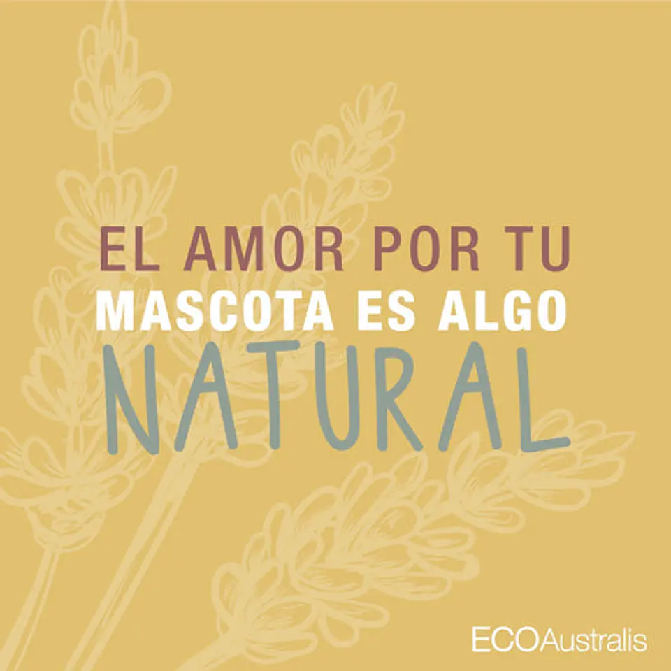 Shampoo Hipoalergénico Natural 2