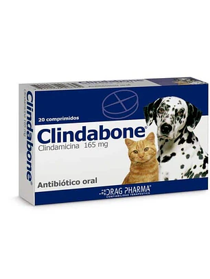 Clindabone comprimidos