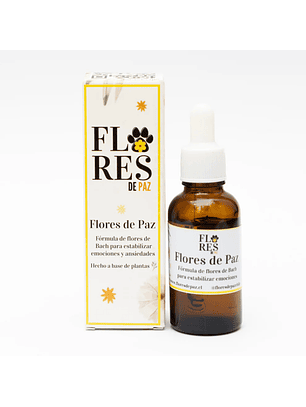 Flores de Paz - Flores de Paz